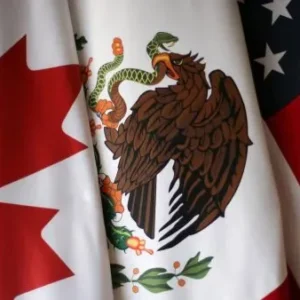 Free Trade Agreement Work Permit